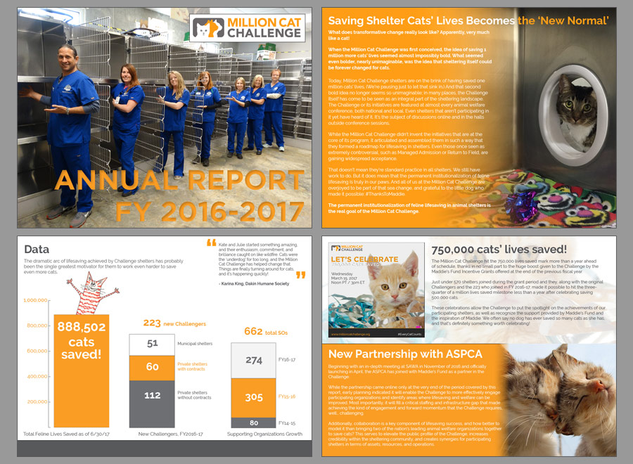 Million Cat Challenge Annual Report 2016-2017, pp 1-4