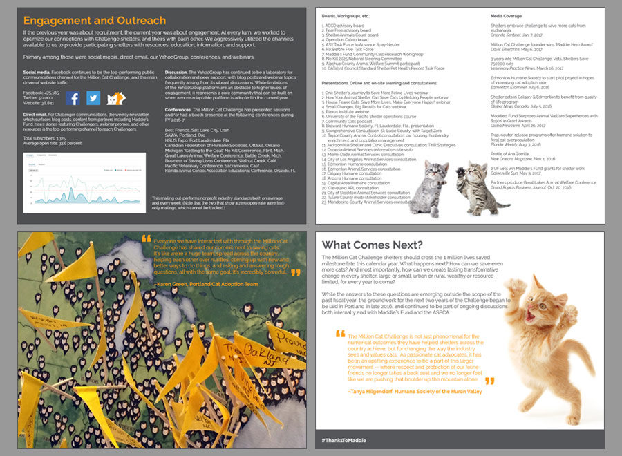 Million Cat Challenge Annual Report 2016-2017, pp 5-8