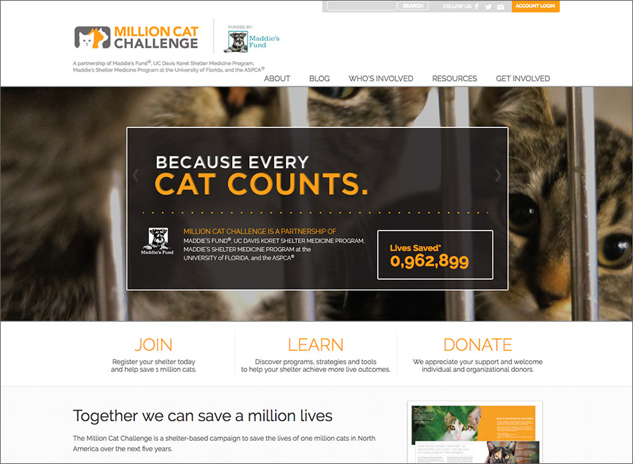 Million Cat Challenge home page